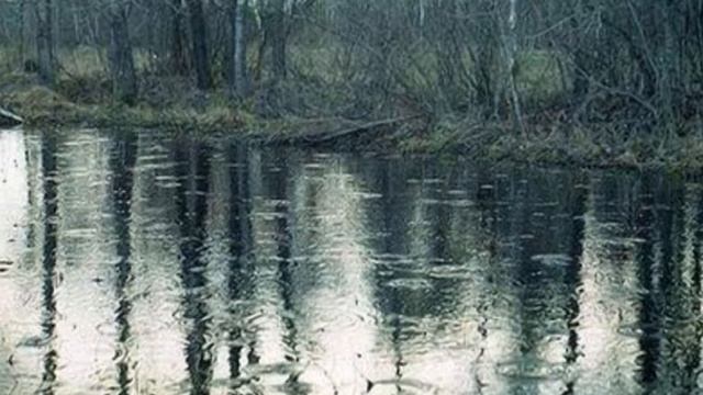 Грустные дожди....Оркестр Вадима Людвиковского смотреть онлайн