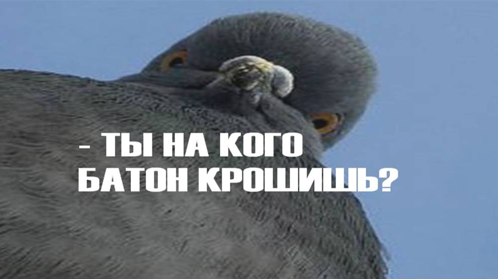 Хлебушек совсем обнаглел! | ZERG в StarCraft 2