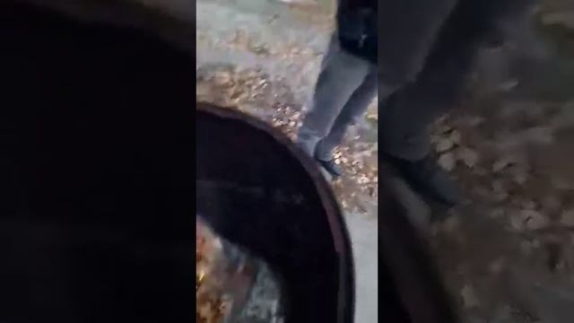 кукурузные палочки Легион смотреть онлайн