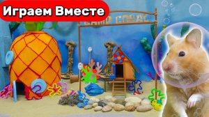 Умный Хомяк попал в ПОДВОДНЫЙ МИР СПАНЧ БОБА 🧽💦 Видео для детей 👍
