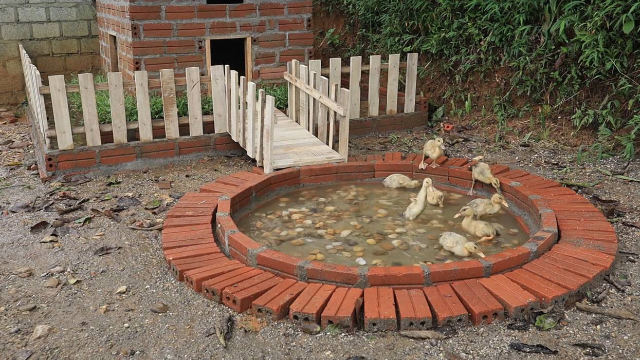 София 43. София строит домик для утят. смотреть онлайн