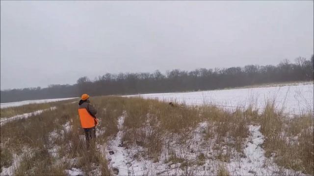 Benny, Martin And Kenny W/ Maxwell, Pheasant And Chukar Hunt