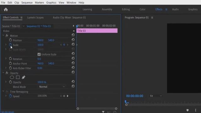 Growing Text Animation - Adobe Premiere Pro