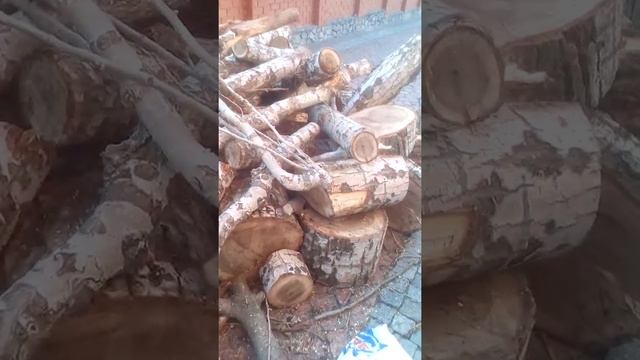 Заготовка дров к зиме // дрова для топки // видео для просмотра смотреть онлайн