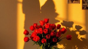 тюльпаны Dj YouRa #Музыка#поп#танцевальная#премьера#лучшее#новые#чарт#dj#dance