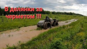 Литые плюшки шли одна за другой.Металлокоп на каракате в делянках.