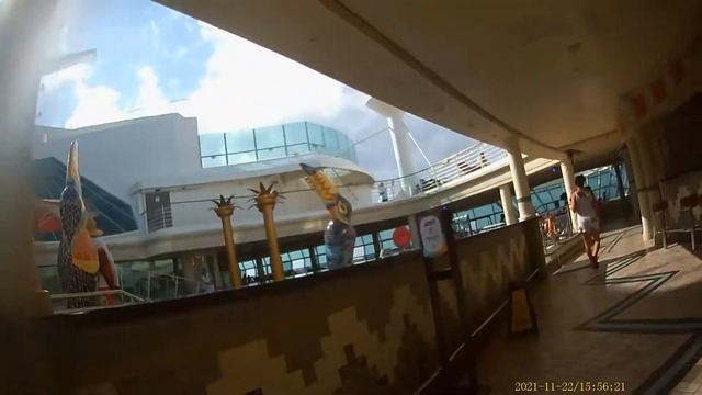 HIDDEN CAMERA WALK THRU LIBERTY OF THE SEAS SOLARIUM смотреть онлайн
