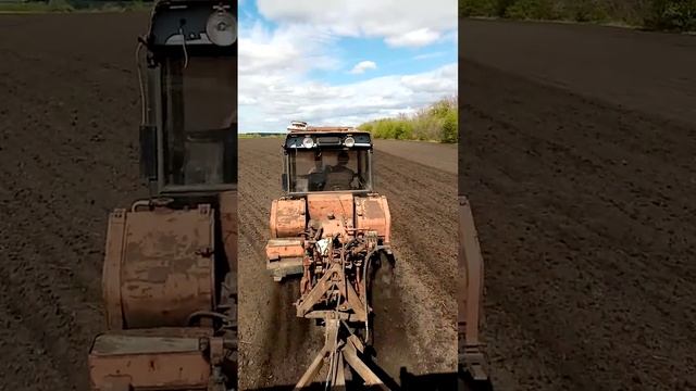 Вт 150 и сеялка Обь 4зт смотреть онлайн