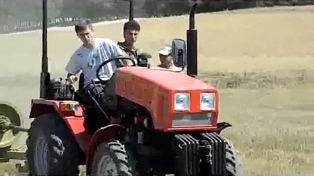 Compact Tractor Belarus-321 In Algeria / Трактор Беларус-321 в Алжире