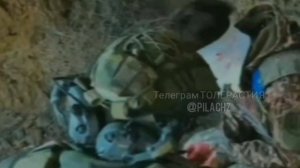 СВО. Наши взяли в плен хохлушку Ярославу Полищук на Херсонском направлении