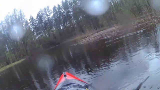 Сплав река Великая апрель 2024