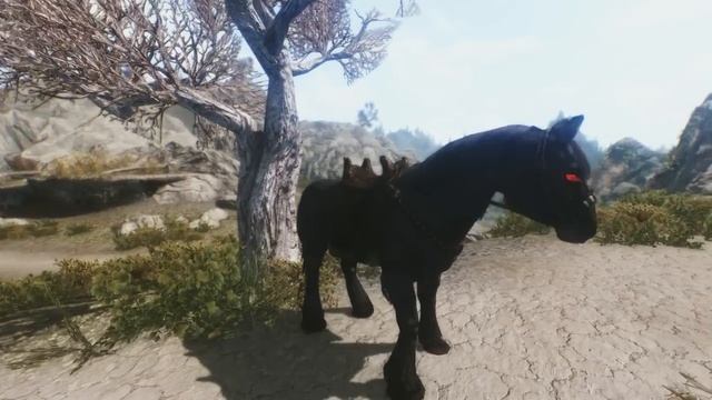Skyrim ENB - Jasmin ENB v4.4 смотреть онлайн