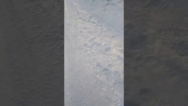 Покупаем вкусняшки//😋😊