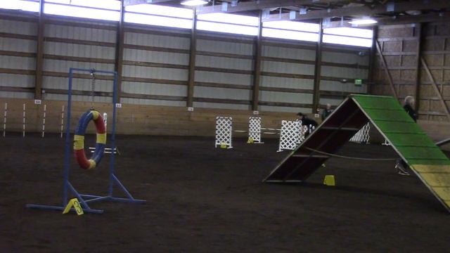 Chip Biathlon Standard 3.11.18