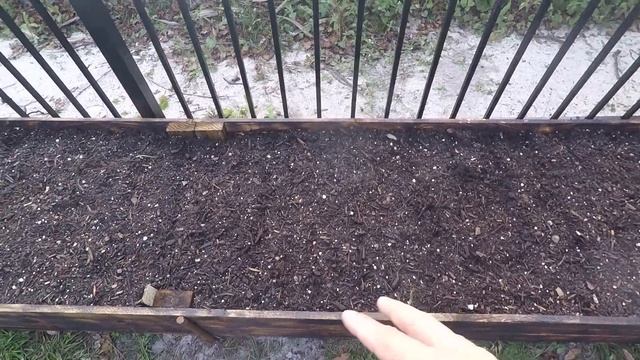 Start garden In Florida? Можно ли что то вырастить во Флориде? смотреть онлайн