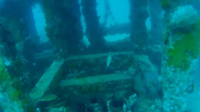 Diving Koh Phi Phi смотреть онлайн