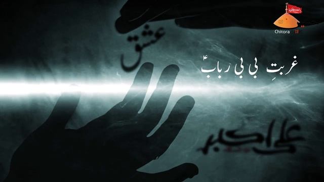 Salam Ali Asghar ko maan ne karbala me raat bhar dhundha || Mohd Ghulam Baqer Chitorvi || India смотреть онлайн