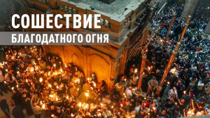 Благодатный огонь сошёл в храме Гроба Господня в Иерусалиме — видео