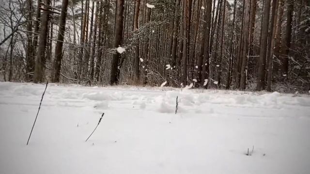 Dirt Jump велосипед