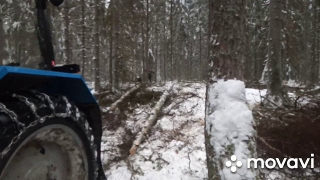 Дровяная делянка. Работа МтЗ-82.1 в лесу. смотреть онлайн