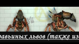 Монстры в Half Life 2. Часть 1