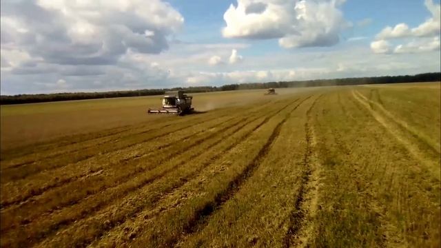 уборка озимой пшеницы 2023 смотреть онлайн