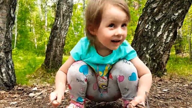 Вака собирает хворост