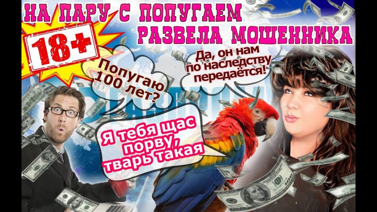 Мошенник слушал и терпел ПОПУГАЯ.... Осторожно - смешно смотреть онлайн