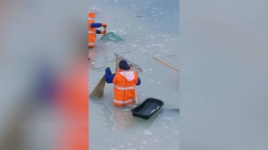 Берега Сахалина усыпало сельдью. Рыбаки собирают улов ведрами и сачками