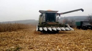 Уборка кукурузы комбайном CLAAS - 760 с 8 рядковой жаткой