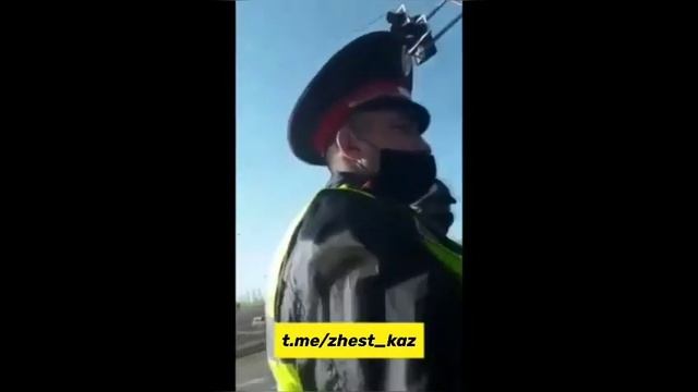 Задержание "Пабло Эскобара" в Нур-Султане смотреть онлайн