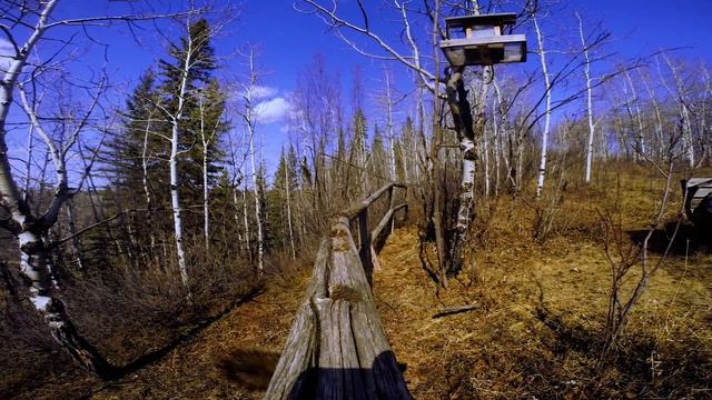 Tree Rats - Planet Spud