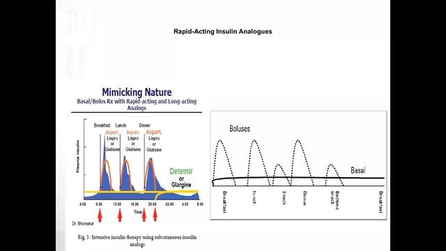 Курс Долой Диабет  Инсулин, правила подколки