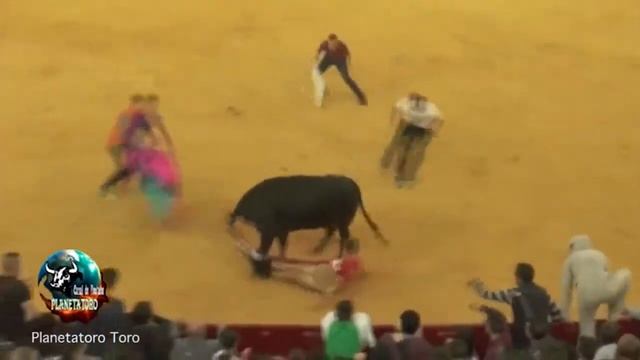 Вот почему не стоит ходить на кариду смотреть онлайн
