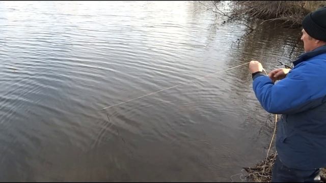 Ловля живцов.