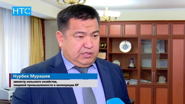 Свекловоды оказались перед угрозой больших убытков / 29.11.16 / НТС смотреть онлайн