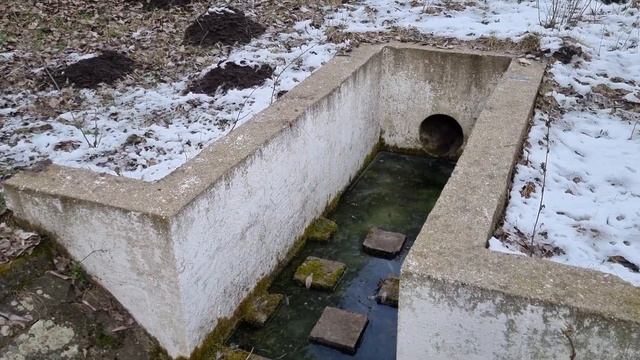 A Fancsikai Tavak,Kilátó Halála 2023