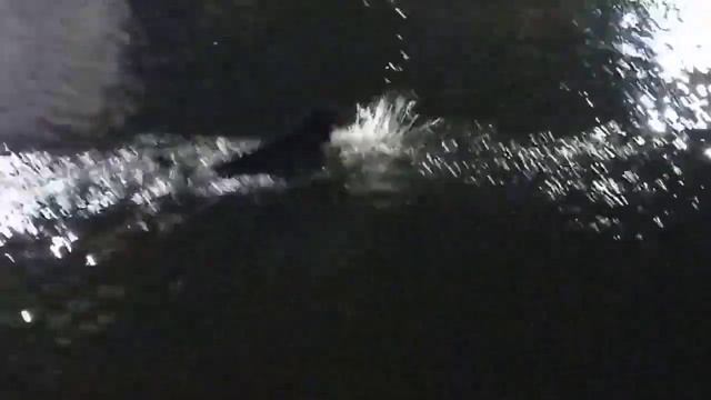 Ночное рандеву на бульваре...