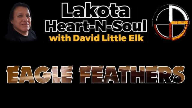 David Little Elk - Eagle Feathers - Lakota Heart-N-Soul смотреть онлайн