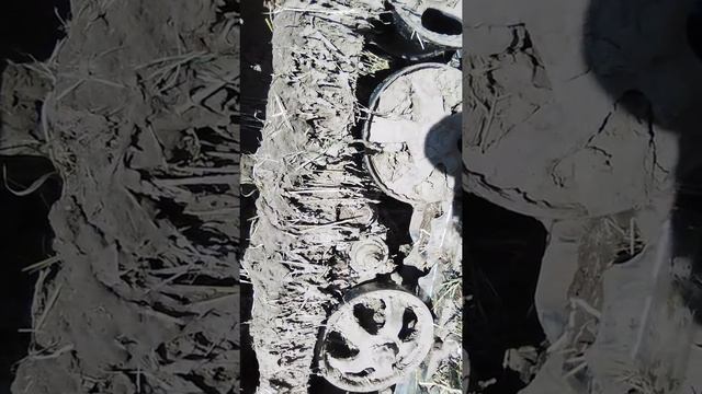 23 сентября 2019 г. смотреть онлайн
