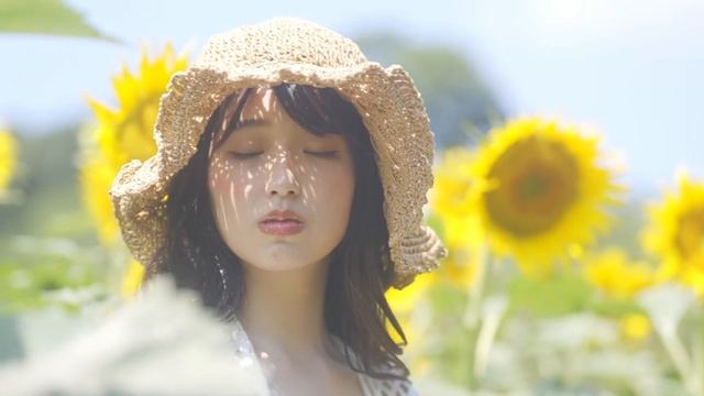 Sunflower | Cinematic Vlog | A7S3 50mm F1.2 GM & 24mm F1.4 GM | смотреть онлайн