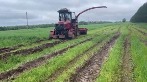 Заготовка силоса отменяется? МТЗ 1221, УЭС-280 КПК-3000, КИРОВЕЦ К-525. Трактор буксует в поле.