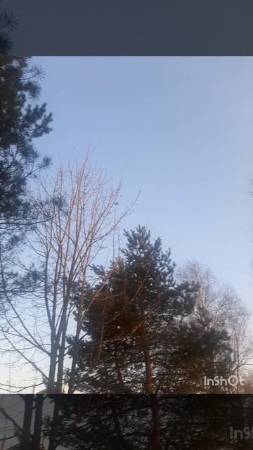 Красота страшная сила.mp4 смотреть онлайн