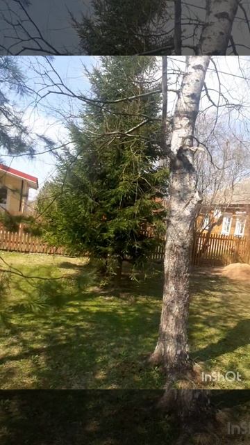 Прекрасная весна , солнечный день и мелодия.mp4 смотреть онлайн