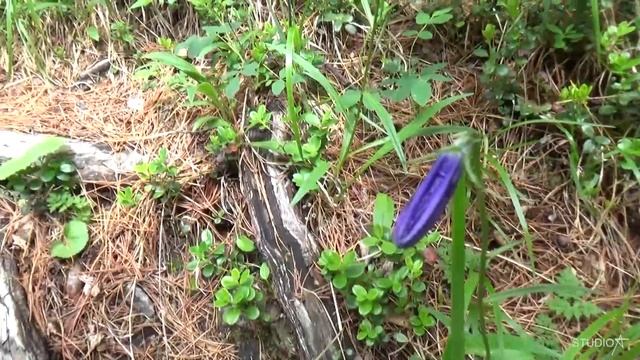 В  поисках перевала...