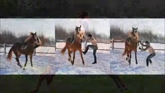 Это не лошадь это беда смотреть онлайн
