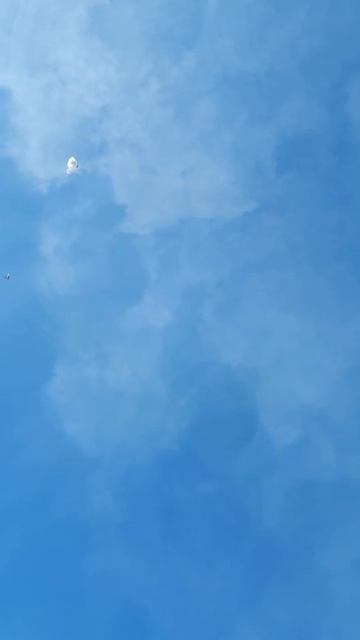 Молодые агараны разыгрываются. смотреть онлайн