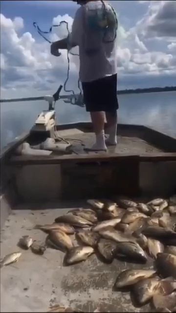 🎏🐟 Рыбалка пошла не по плану 😉✌️😂😂😂 смотреть онлайн