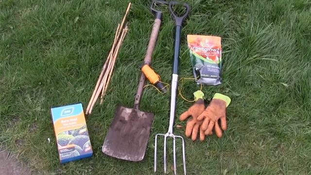 What do I need to plant a hedge? Advice from Best4hedging смотреть онлайн