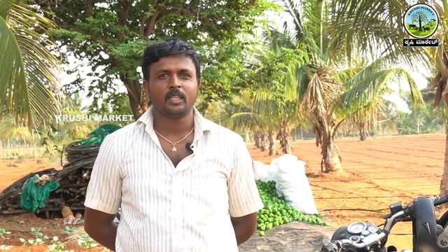 ಮಂಡ್ಯ ರೈತನ ಕೈ ಹಿಡಿದ ಕ್ಯಾಪ್ಸಿಕಮ್ ಬೆಳೆ |CAPSICUM FARMING & CULTIVATION CROP VIDEO смотреть онлайн